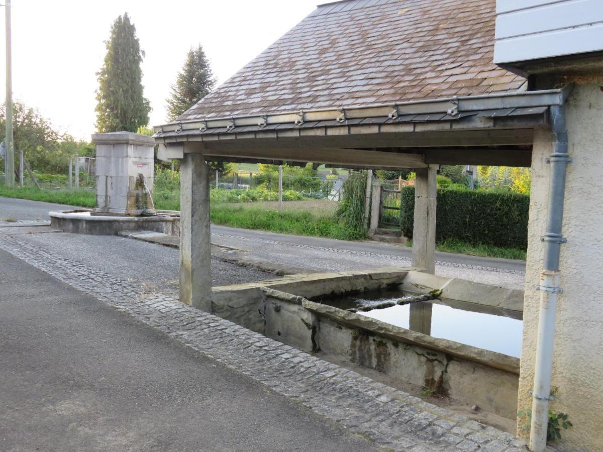 Gite Du Verger Bruges-Capbis-Mifaget エクステリア 写真